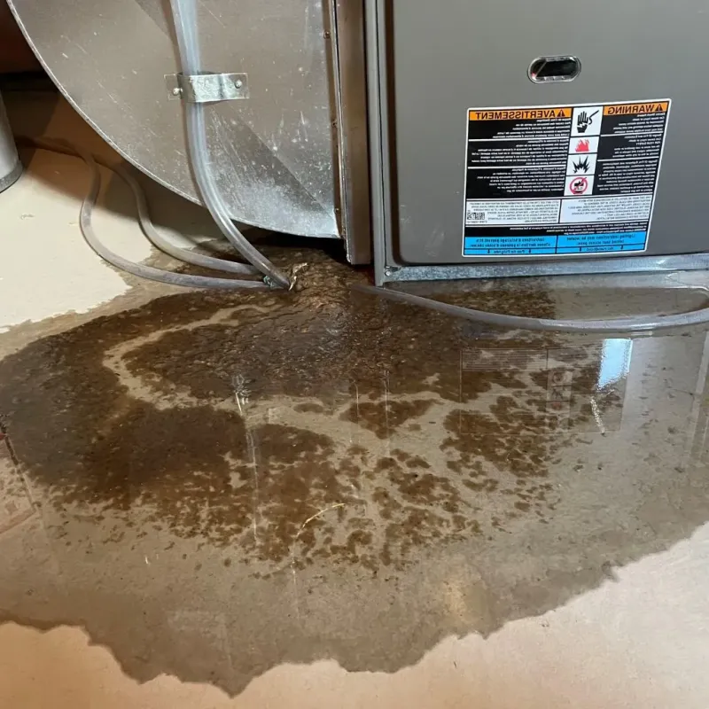 Pipe Burst and Leak Restoration in Tutwiler, MS