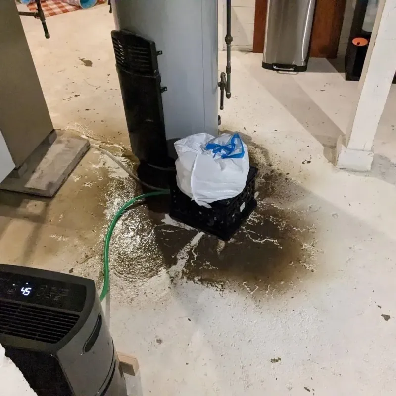 Sewage Backup Cleanup Service in Tutwiler, MS